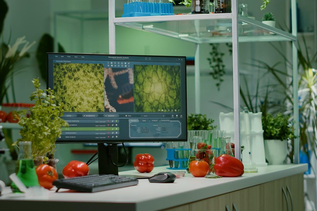 درجة البكالوريوس في تكنولوجيا وجودة الغذاء